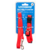 LIL’ BUDDIES DOG COLLAR & LEASH SET W/3 SIZE MIX