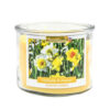 AROMANCE 3 WICK GLASS CANDLE DAFFODILS & DAISIES 12 OZ