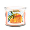 AROMANCE 3 WICK GLASS CANDLE PEACH SUGARED RUM 12 OZ