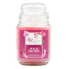 SIGNATURE STYLE JAR CANDLE WILD ORCHID 18 OZ