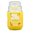 SIGNATURE STYLE JAR CANDLE SPARKLING CITRUS 18 OZ