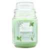 SIGNATURE STYLE JAR CANDLE EUCALYTUS/MINT 18 OZ