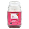 SIGNATURE STYLE JAR CANDLE BERRY PROCESSCO 18 OZ