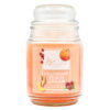 SIGNATURE STYLE JAR CANDLE CRANBERRY/PEACH/GINGER 18 OZ