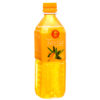 ALOE VERA MANGO JUICE 16.9 OZ