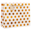 GIFT BAG MEDIUM W/DOT ASST CLR