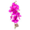 AF MOTH ORCHID VIOLET 1 PK