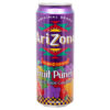 ARIZONA FRUIT PUNCH 23 OZ PP99