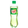 CANADA DRY 16.9 OZ