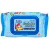 PURE-AID FLUSHABLE WIPES 54CT BLUE