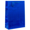 PREMIUM GIFT BAG HOLOGRAM LARGE ASST COLOR