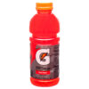 GATORADE 20 OZ FRUITPUNCH