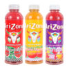 ARIZONA JUICE VARIETY 24 PACK 20 OZ