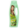 CAPRICE SH ESP. RIZOS DEFINIDOS 750ML