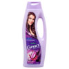 CAPRICE SH ESP. ACTICERAMIDAS (FUERZA) 750ML