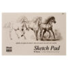 SKETCH PAD 20CT 18X12 #BAZIC