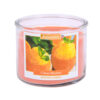 CITRUS SHERBET CANDLE 12OZ