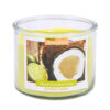 COCONUT LIME CANDLE 12OZ