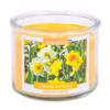 DAFFOFIL & DASIES CANDLE 12OZ