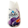 GLADE SOLID AIR FRESHENER LAVENDAR & PEACH BLOSSOM 6 OZ