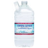 CRYSTAL GEYSER WATER 1 GAL